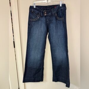 Express X2 Jean: Women's Low Rise Flare with Studded Pocket Trim, Size 8